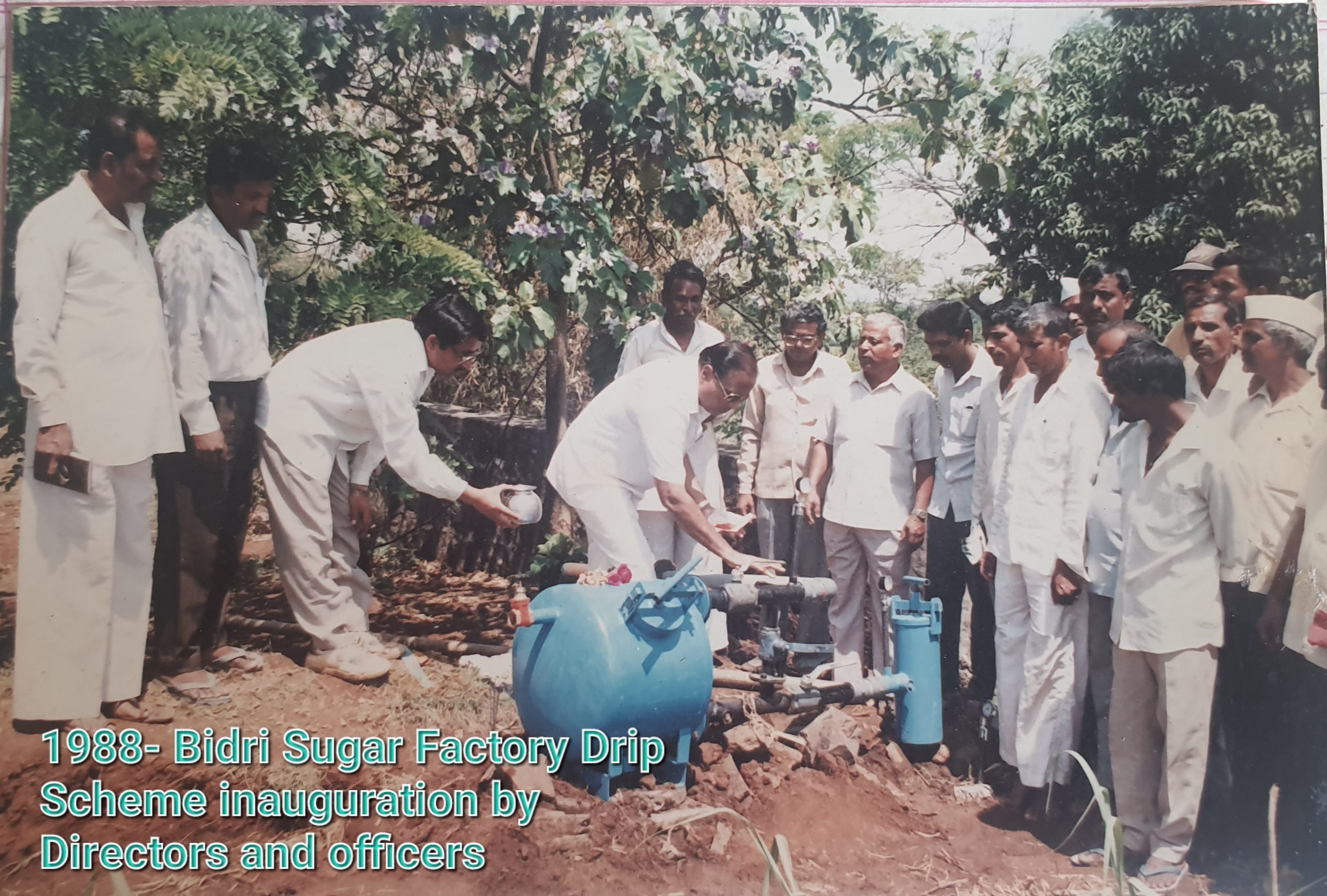 Drip Irrigation Services since 1990 project image 5